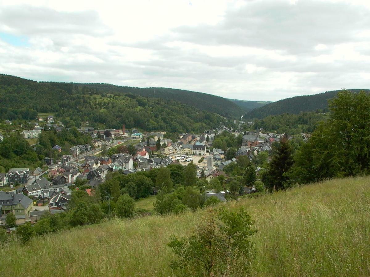 Ferienwohnung Müller Steinach  Exterior foto